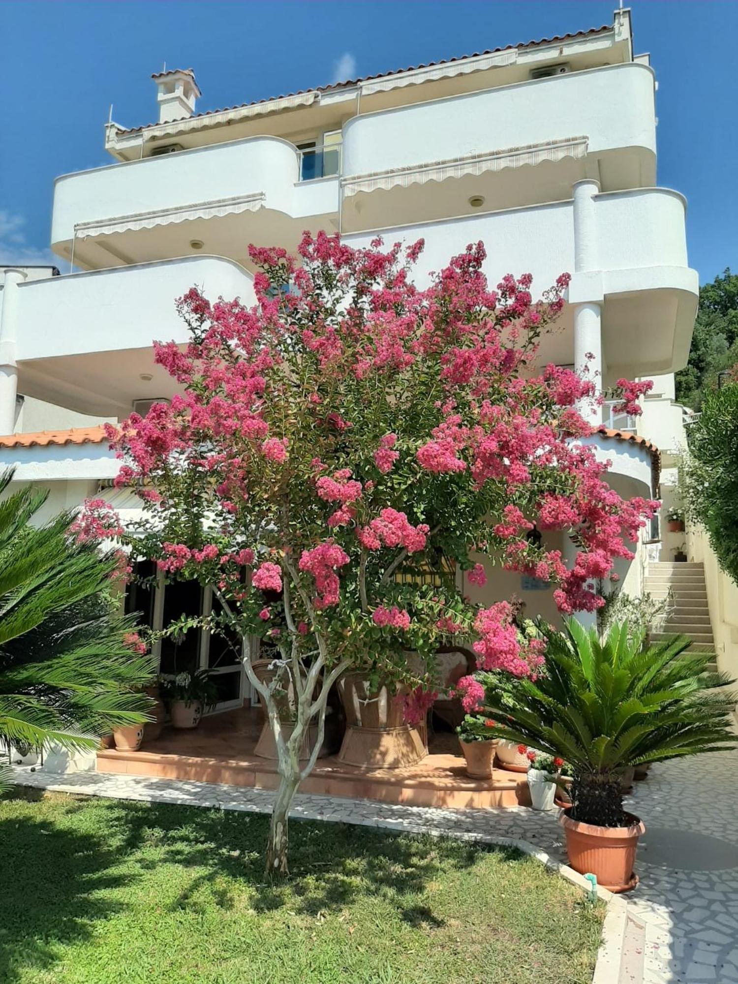 Apartments Villa Mare Mar 苏托莫雷 外观 照片